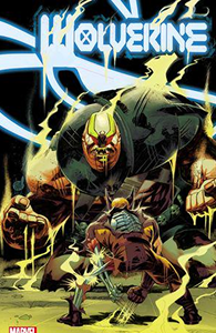 Cover of Wolverine #15