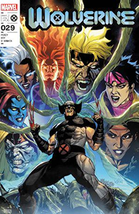 Cover of Wolverine #29