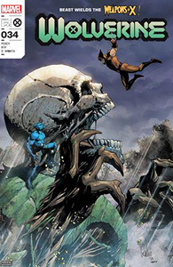 Cover of Wolverine #34