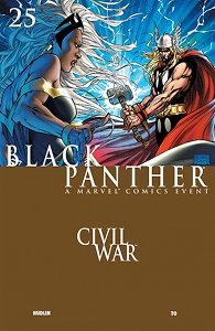 Black Panther #25