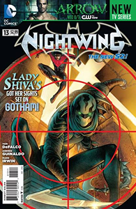 Cover of Nightwing #13