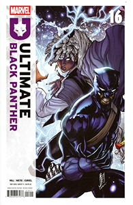 Cover of Ultimate Black Panther #16