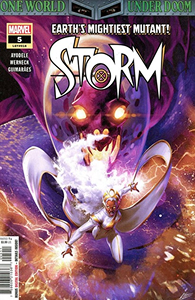 Cover of Storm #5